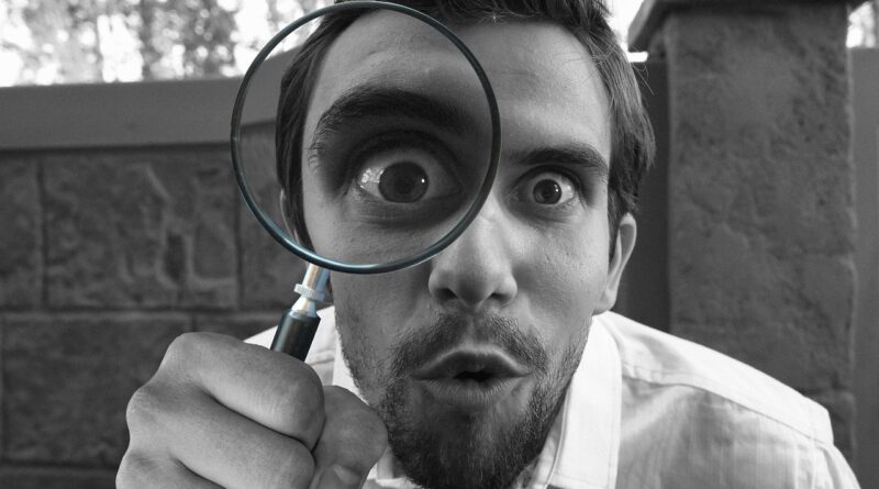 So findet man eine gute Detektei in Hamburg – Tipps und Hinweise zum Tätigkeitsfeld